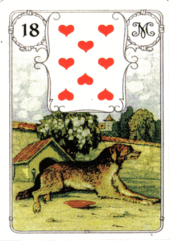 card-8