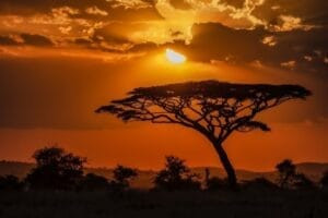 африкански хороскоп