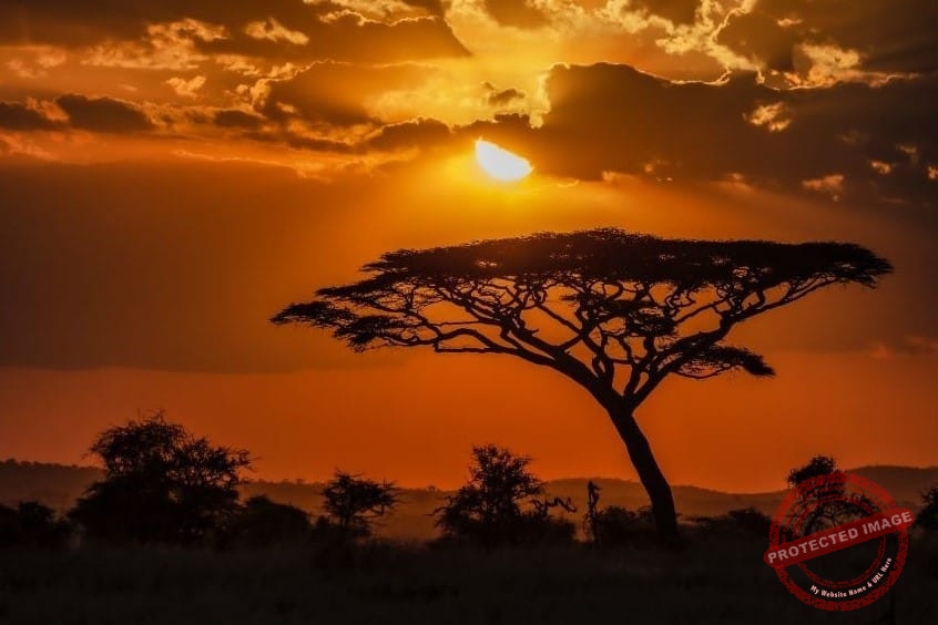 африкански хороскоп