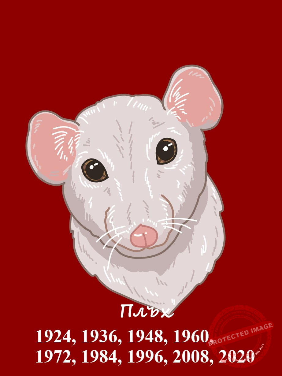 Китайски хороскоп-Плъх