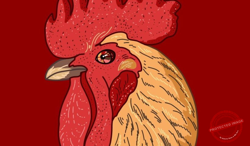 Китайски хороскоп Петел