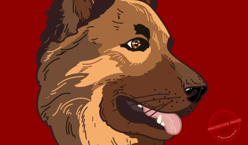 Китайски хороскоп Куче