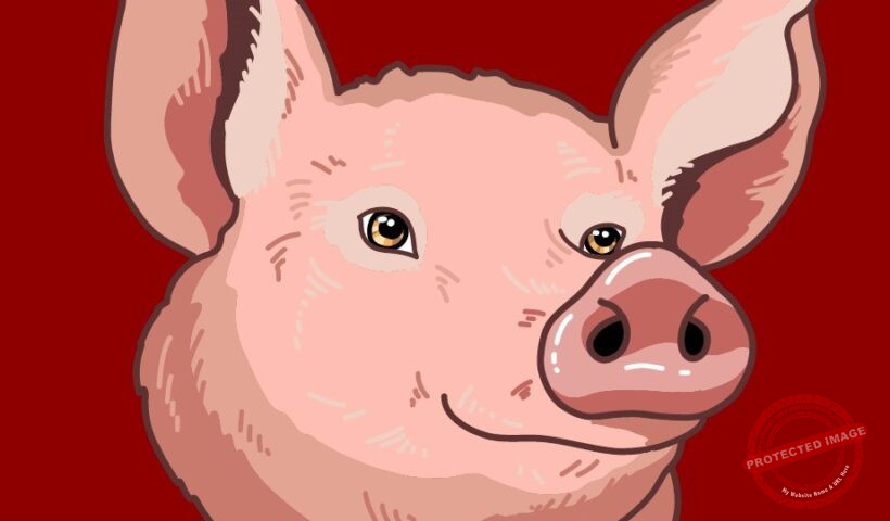 Китайски хороскоп Прасе