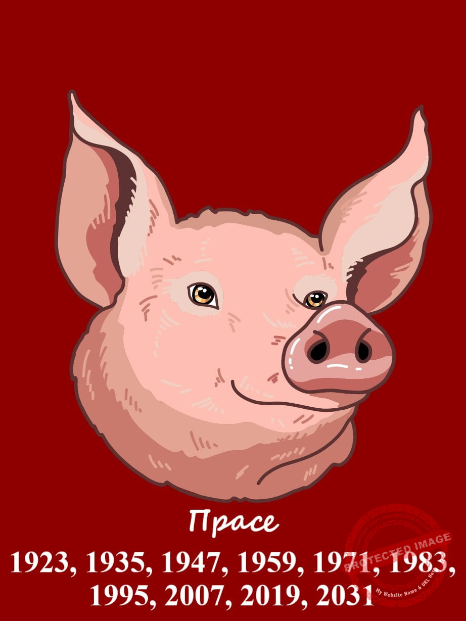 Китайски хороскоп Прасе