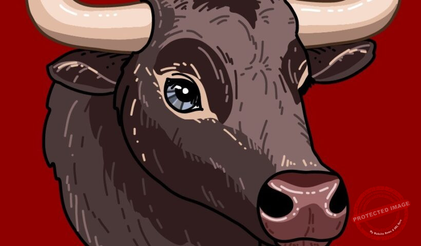 Китайски хороскоп-Бик