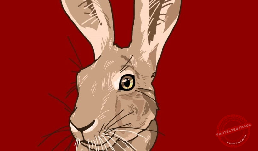 Китайски хороскоп-Заек