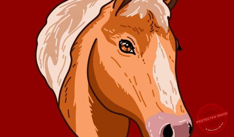 Китайски хороскоп Кон