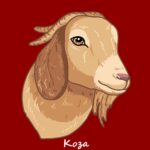Китайски хороскоп Коза