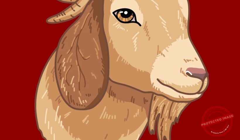 Китайски хороскоп Коза