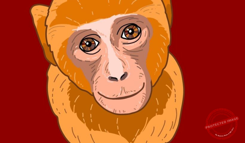 Китайски хороскоп Маймуна