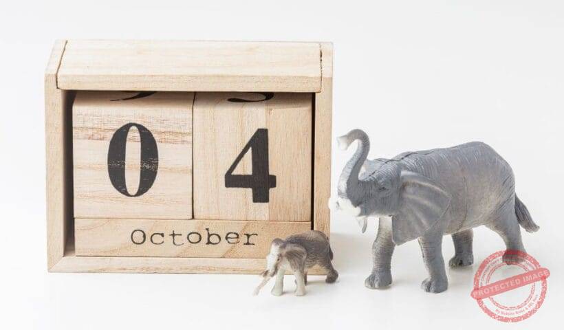 Хороскоп за родените на 4 октомври