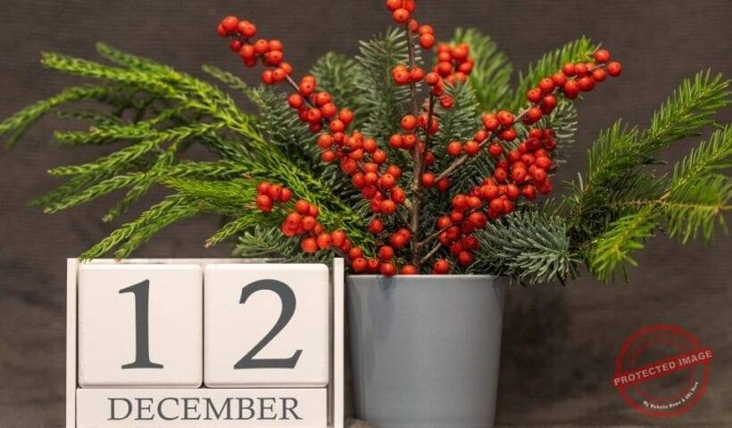 Хороскоп за родените на 12 декември