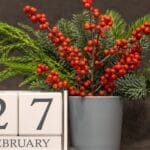 Хороскоп за родените на 27 февруари