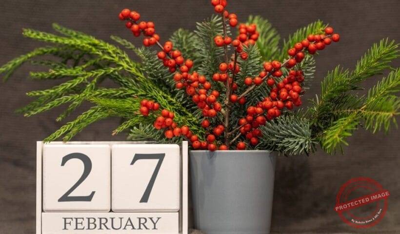 Хороскоп за родените на 27 февруари