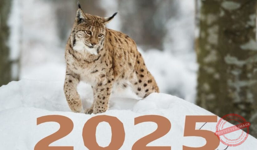 Зороастрийски хороскоп за 2025 година