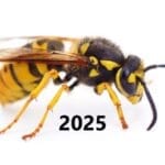 славянски хороскоп за 2025