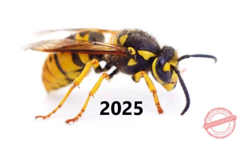 славянски хороскоп за 2025