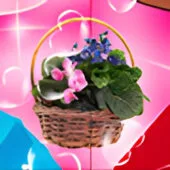 card-23