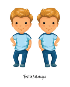 Съвместимост Близнаци