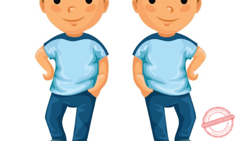 Съвместимост Близнаци