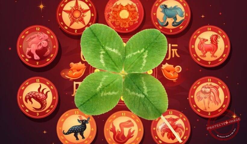 китайски зодии