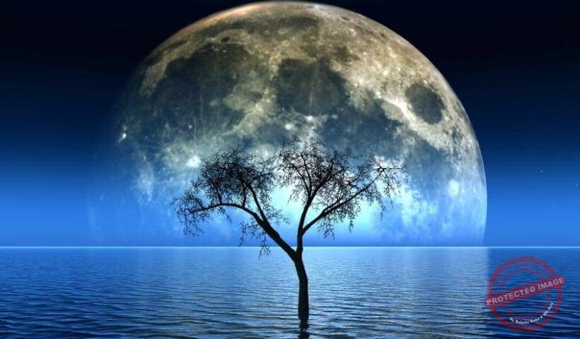 Как лунното затъмнение в Дева ще повлияе на вашата зодия, започвайки от 14 март 2025 г.