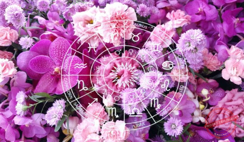 зодии, хороскоп, хороскопи, зодиите