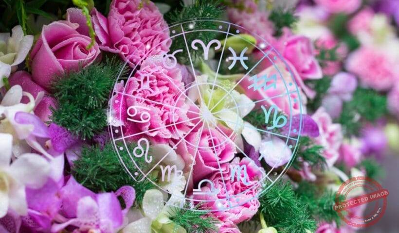 зодии, хороскоп, хороскопи, зодия