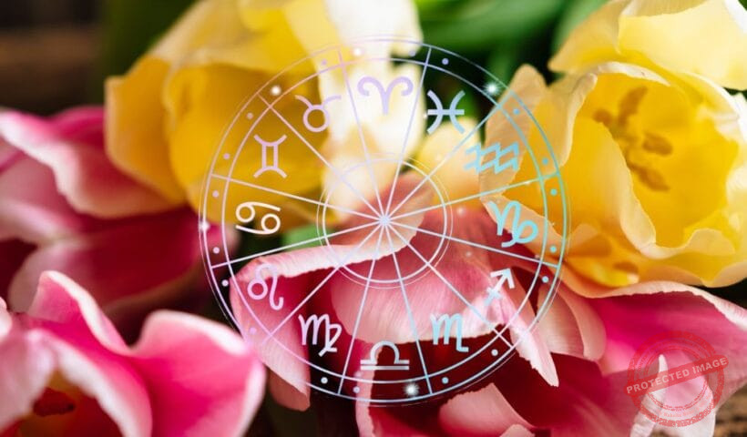 зодии, зодия, хороскоп, хороскопи