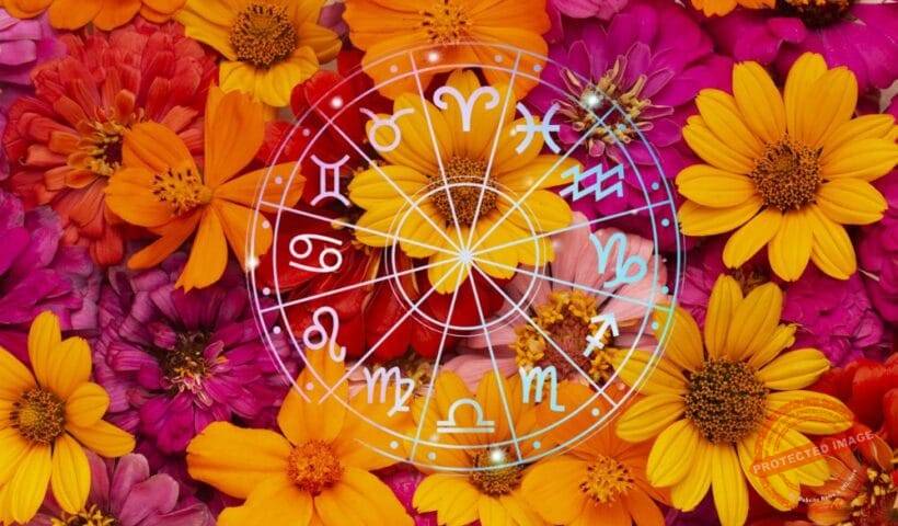 зодии, зодия, хороскоп, хороскопи