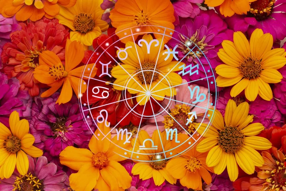 зодии, зодия, хороскоп, хороскопи