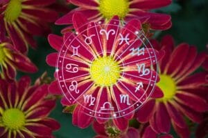зодии, хороскоп, хороскопи, зодия