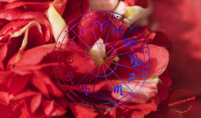 зодии, хороскоп. хороскопи. зодия