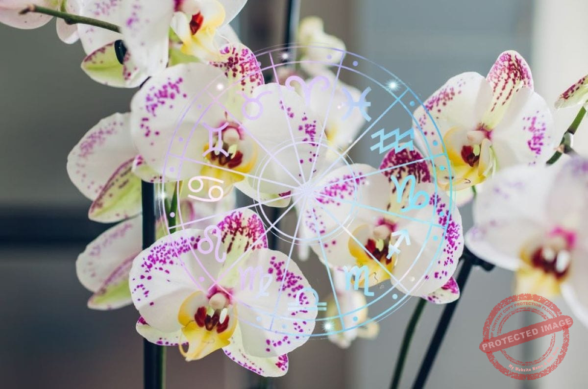 зодии, зодия, хороскоп, хороскопи