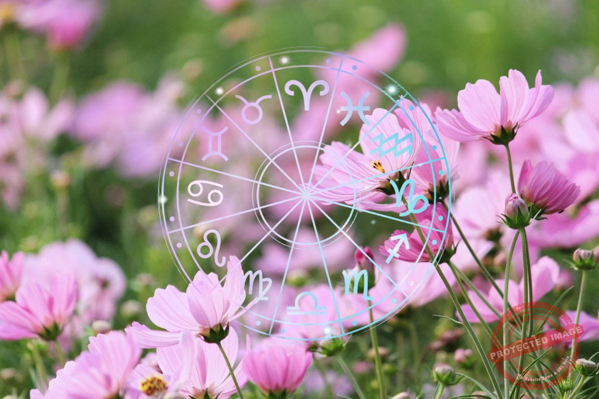 зодии, хороскоп, хороскопи, зодия