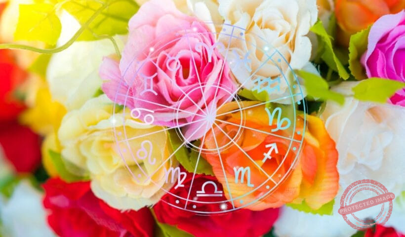 зодии, зодия, хороскоп, хороскопи