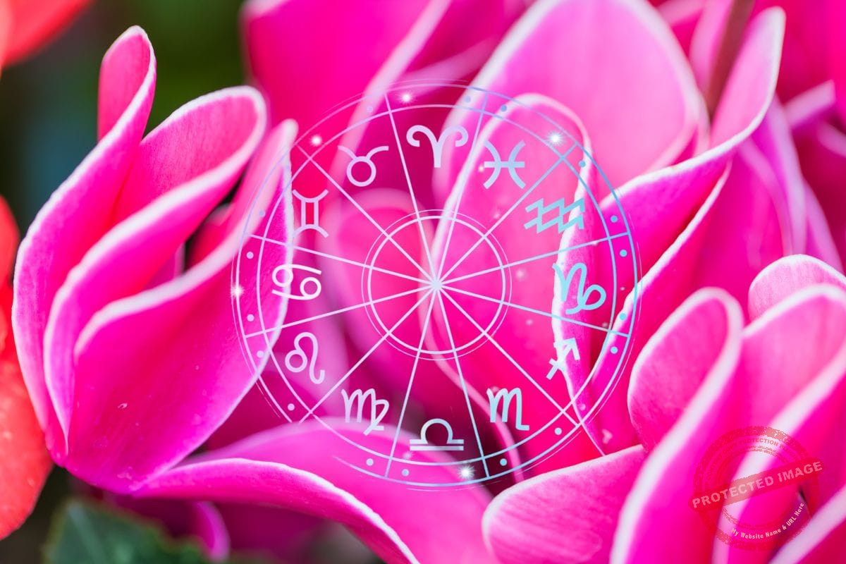 зодии, зодия, хороскоп, хороскопи