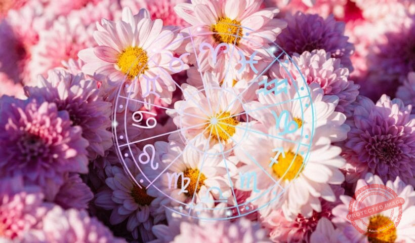 зодии, зодия, хороскоп, хороскопи