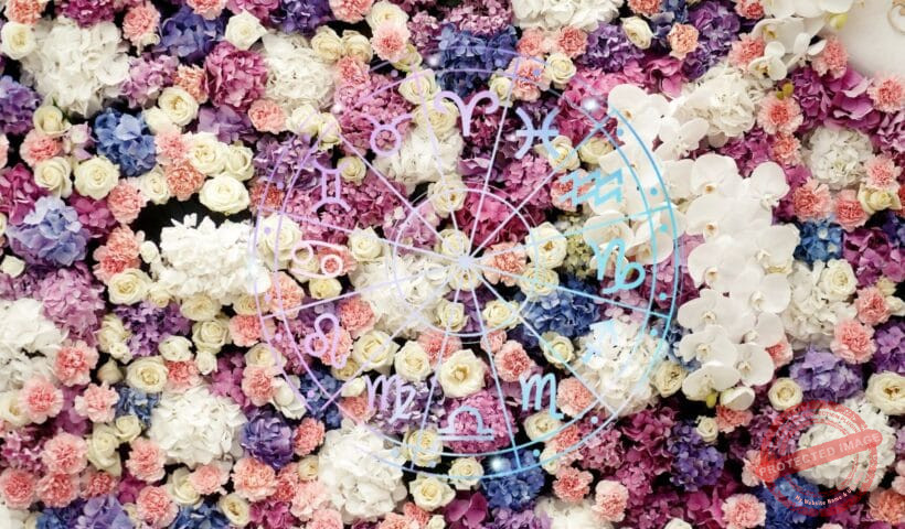 зодии, зодия, хороскоп, хороскопи