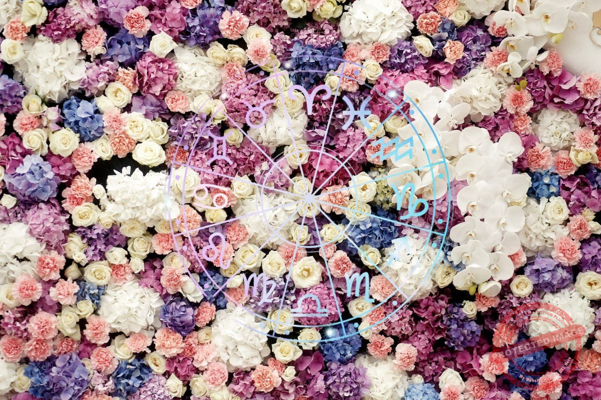 зодии, зодия, хороскоп, хороскопи