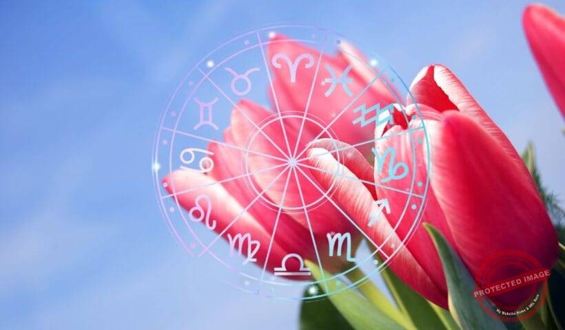 зодии, зодия, хороскоп, хороскопи