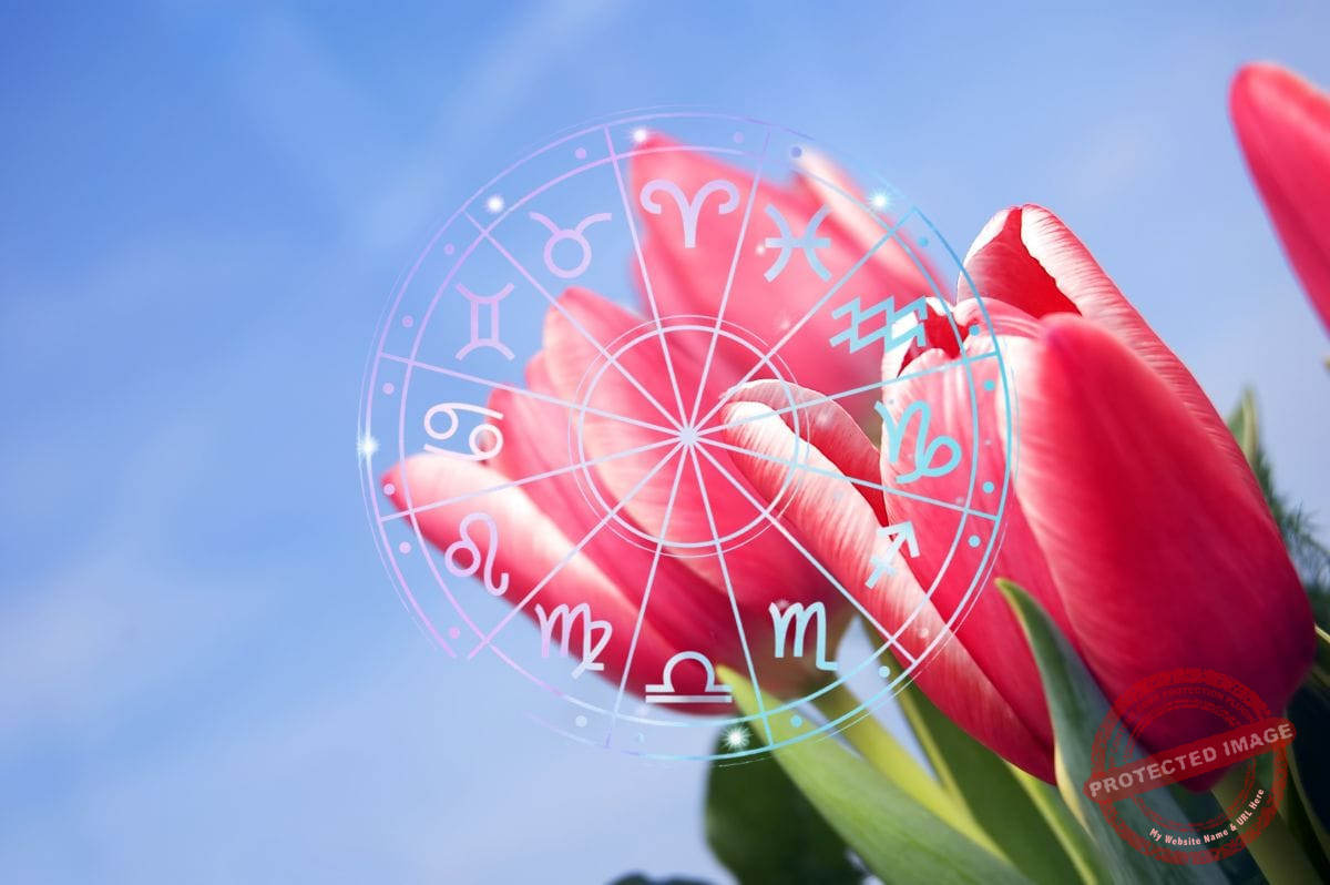 зодии, зодия, хороскоп, хороскопи