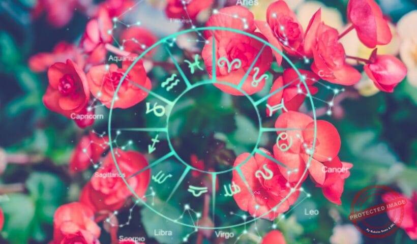 зодии, зодия, хороскоп, хороскопи