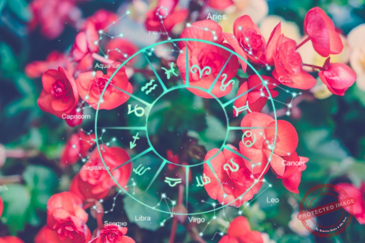 зодии, зодия, хороскоп, хороскопи