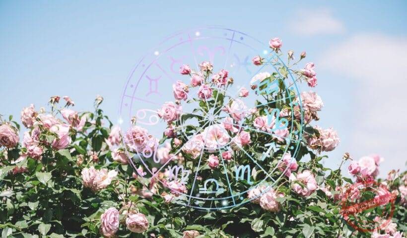 зодии, хороскоп, зодия, хороскопи