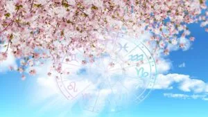 зодии, зодия, хороскоп, хороскопи