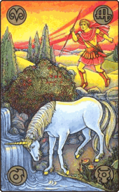 card-23
