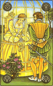 card-65