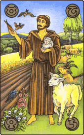 card-37