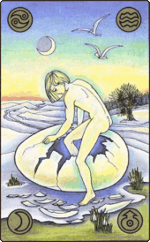 card-18